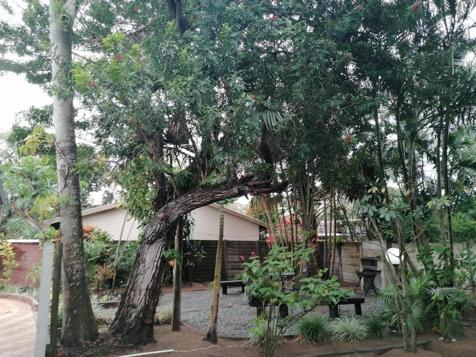 Bed and Breakfast Nqabanqaba Richards Bay Zewnętrze zdjęcie